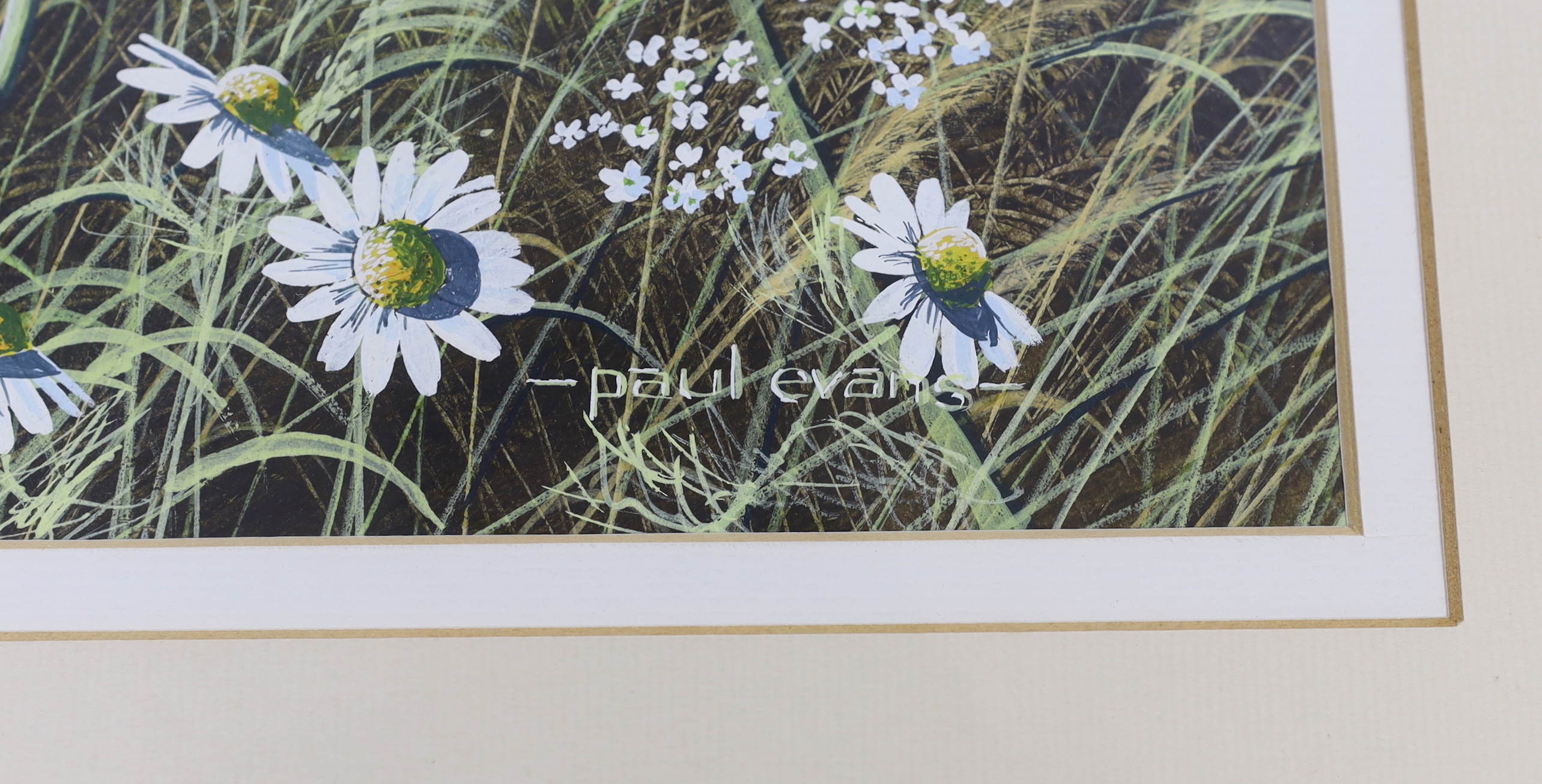 Paul Evans (b.1954), gouache, Meadow landscape, Dandelions, signed, 43 x 55cm